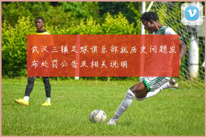 武汉三镇足球俱乐部就历史问题发布处罚公告及相关说明