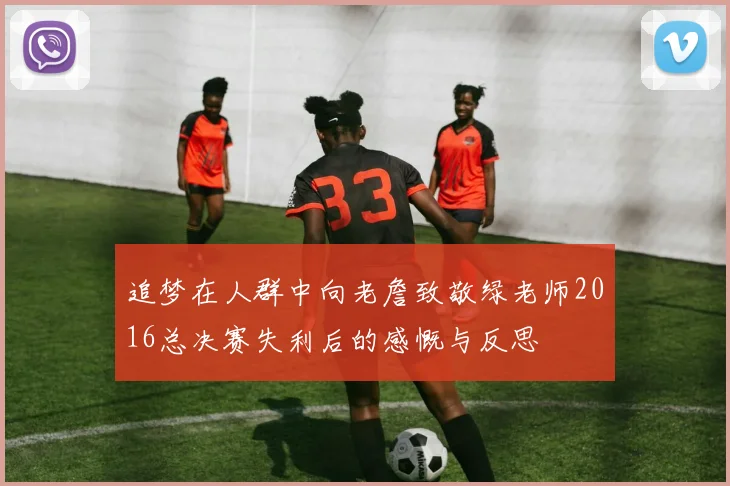 追梦在人群中向老詹致敬绿老师2016总决赛失利后的感慨与反思